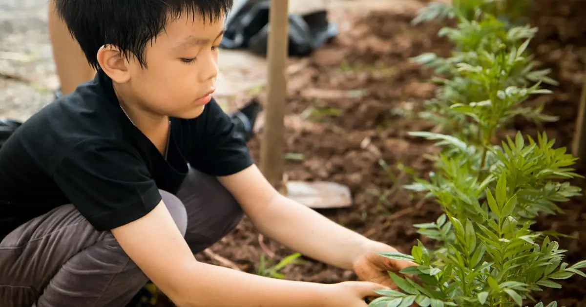 Kid gardening