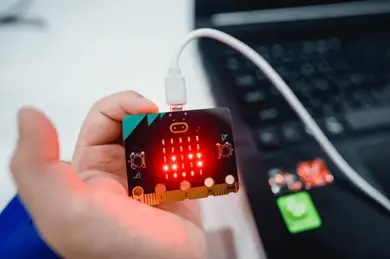 Microbit art
