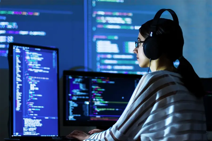 Software developer